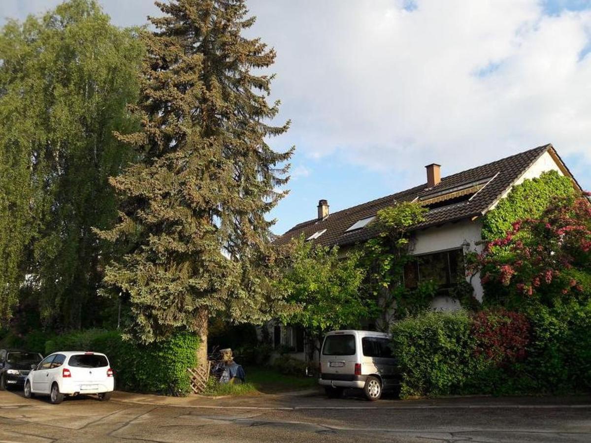 Haus Zur Bienenweide Apartment Schömberg Екстериор снимка